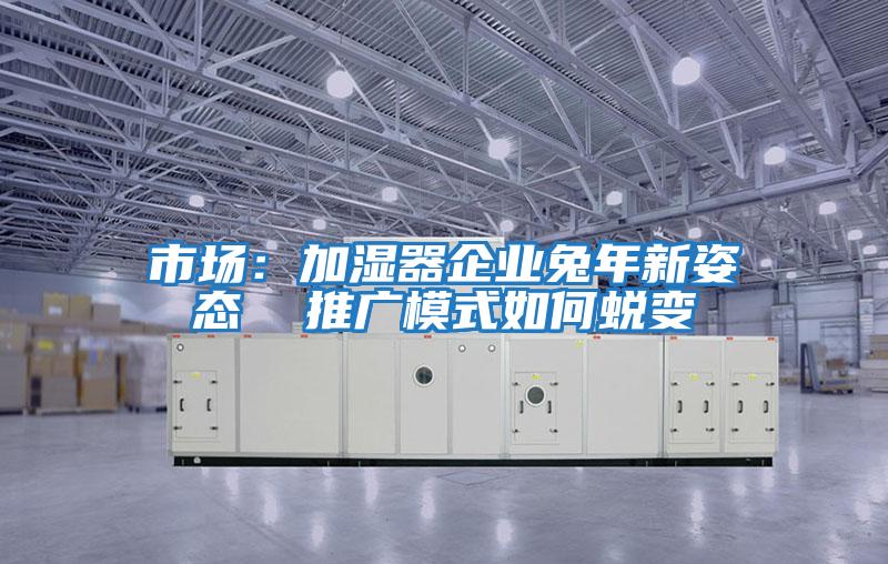 市場：加濕器企業兔年新姿態  推廣模式如何蛻變