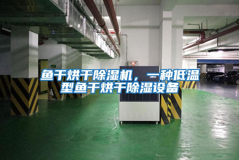 魚干烘干除濕機，一種低溫型魚干烘干除濕設備