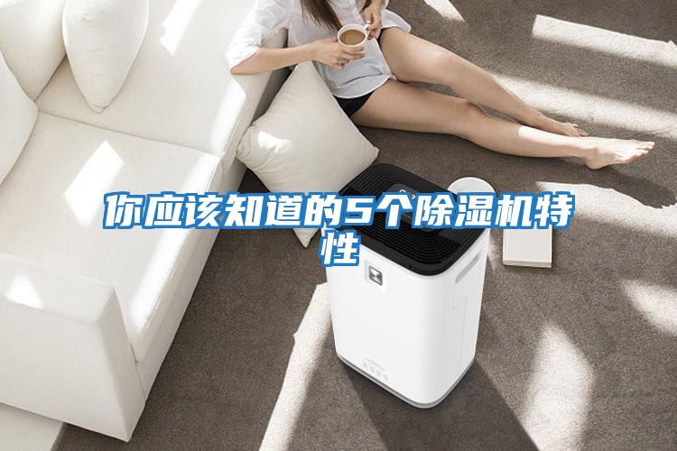 你應該知道的5個除濕機特性