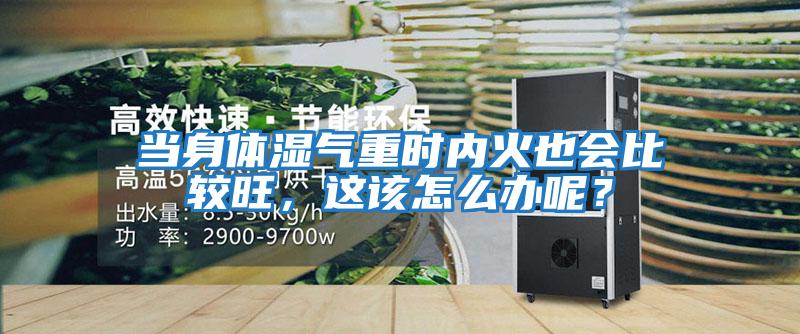 當身體濕氣重時內火也會比較旺，這該怎么辦呢？