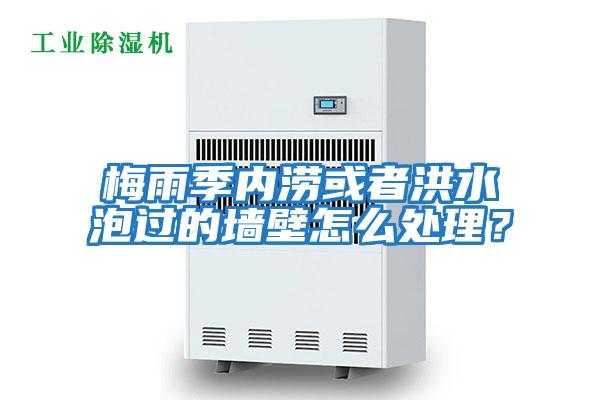 梅雨季內澇或者洪水泡過的墻壁怎么處理？