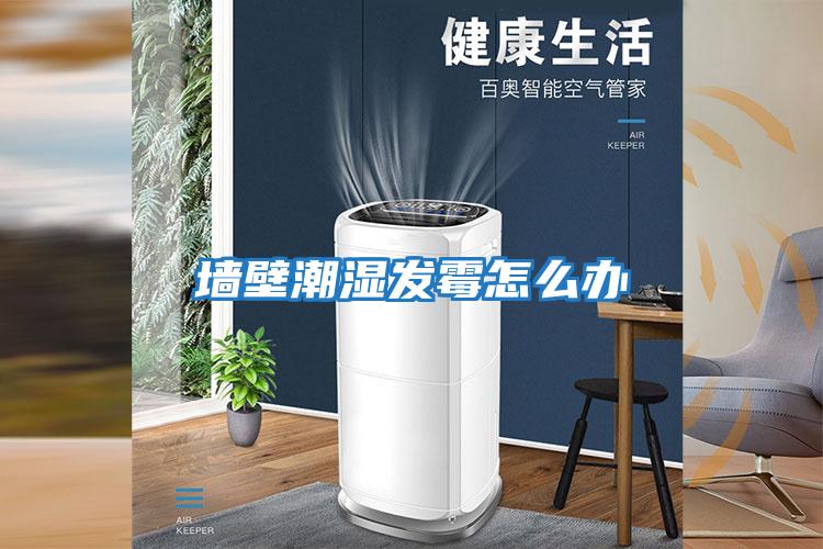 墻壁潮濕發霉怎么辦