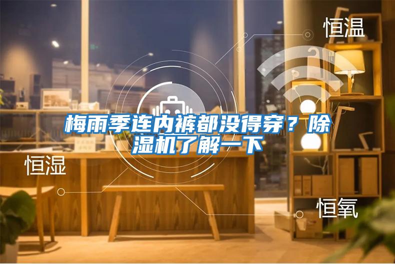 梅雨季連內褲都沒得穿？除濕機了解一下