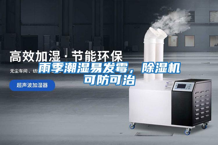 雨季潮濕易發(fā)霉，除濕機可防可治