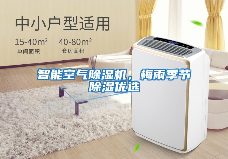 智能空氣除濕機，梅雨季節除濕優選