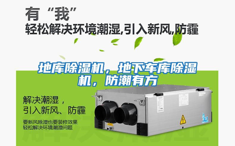 地庫(kù)除濕機(jī)，地下車(chē)庫(kù)除濕機(jī)，防潮有方