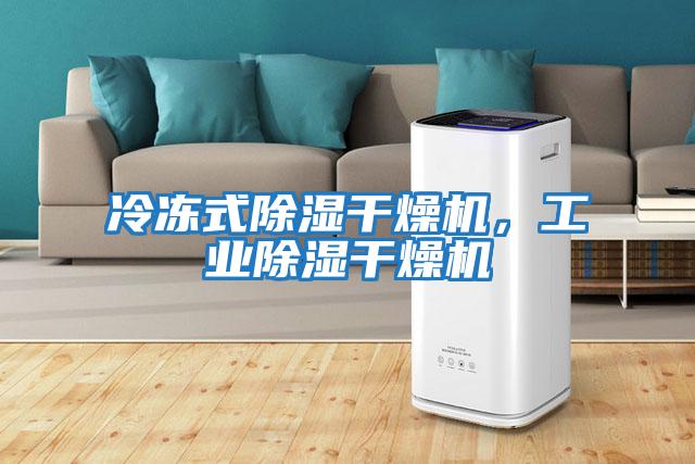 冷凍式除濕干燥機，工業除濕干燥機