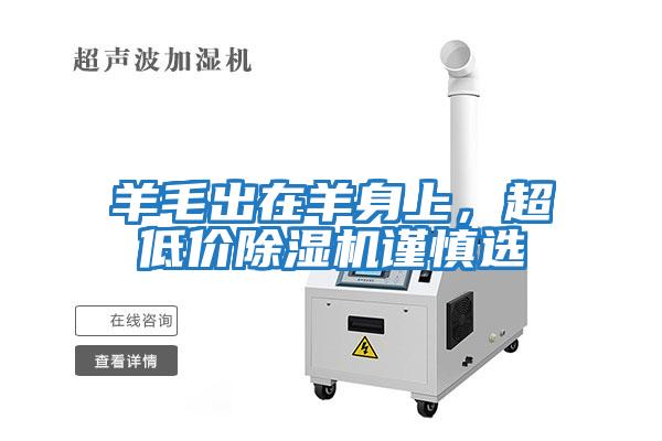 羊毛出在羊身上，超低價除濕機謹慎選