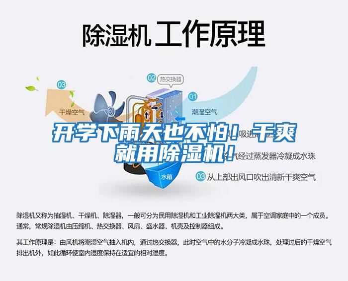 開學下雨天也不怕！干爽就用除濕機！
