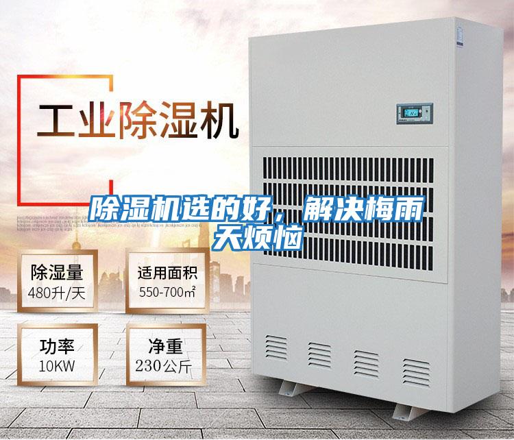 除濕機選的好，解決梅雨天煩惱