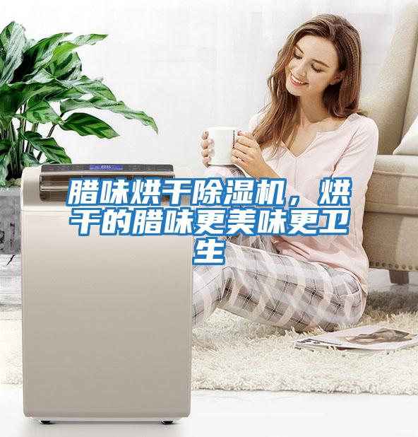 臘味烘干除濕機，烘干的臘味更美味更衛(wèi)生