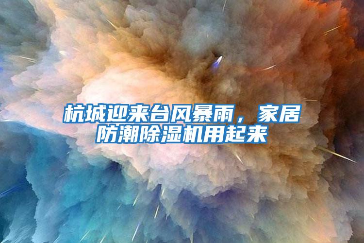 杭城迎來臺(tái)風(fēng)暴雨,家居防潮除濕機(jī)用起來