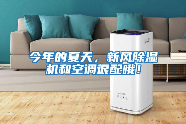 今年的夏天，新風除濕機和空調很配哦！
