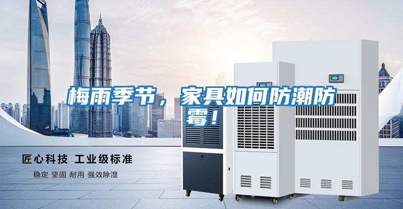 梅雨季節，家具如何防潮防霉！