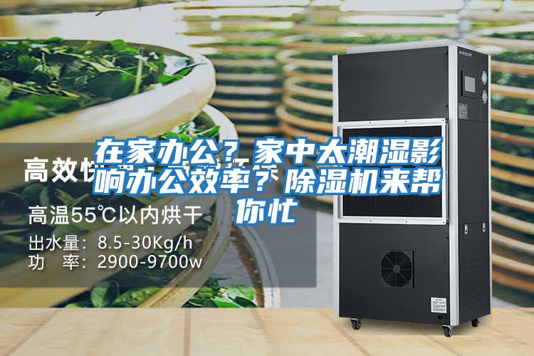 在家辦公？家中太潮濕影響辦公效率？除濕機來幫你忙
