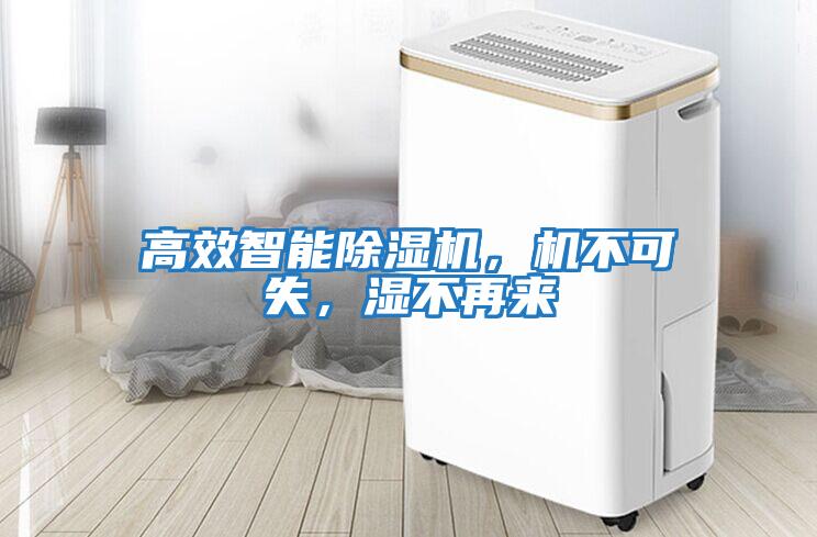 高效智能除濕機(jī)，機(jī)不可失，濕不再來(lái)
