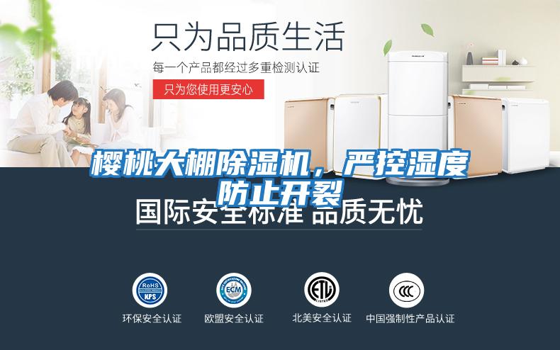 櫻桃大棚除濕機，嚴控濕度防止開裂