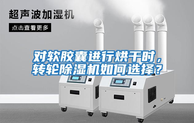 對軟膠囊進行烘干時，轉輪除濕機如何選擇？