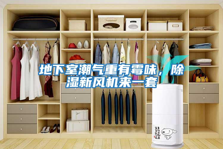 地下室潮氣重有霉味，除濕新風機來一套