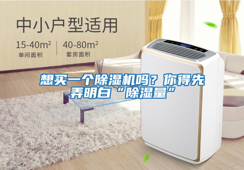 想買一個除濕機嗎？你得先弄明白“除濕量”