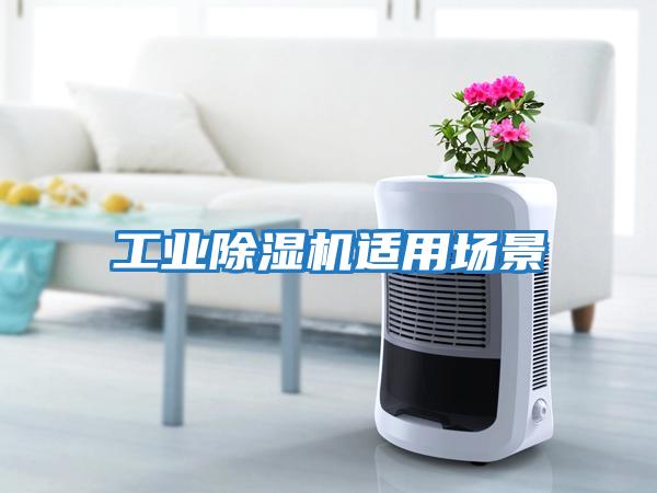工業(yè)除濕機適用場景
