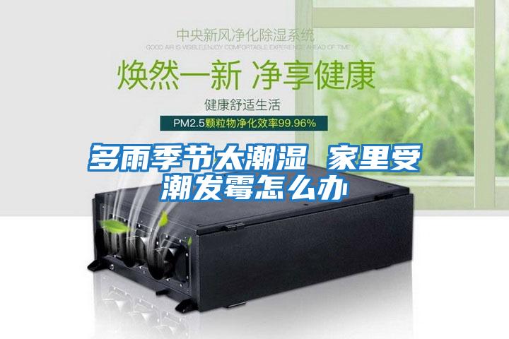多雨季節太潮濕 家里受潮發霉怎么辦