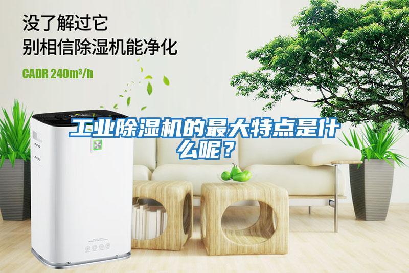 工業(yè)除濕機的最大特點是什么呢？
