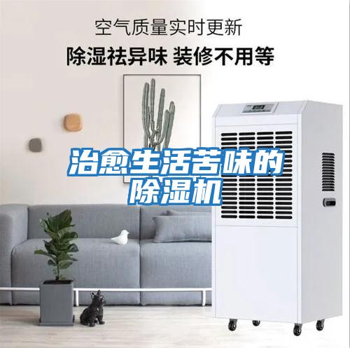 治愈生活苦味的除濕機