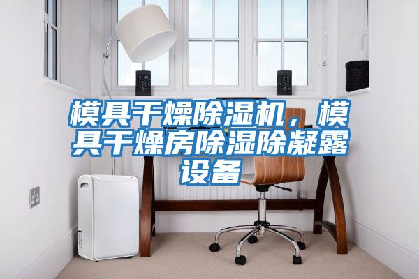 模具干燥除濕機，模具干燥房除濕除凝露設備