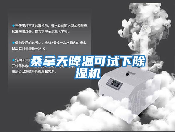 桑拿天降溫可試下除濕機