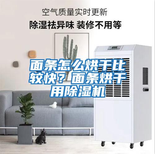 面條怎么烘干比較快？面條烘干用除濕機(jī)