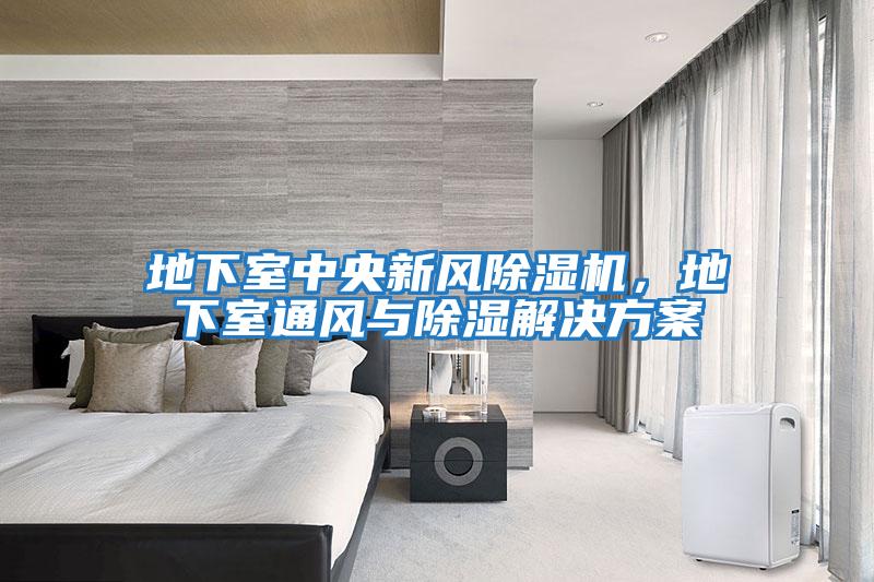 地下室中央新風除濕機，地下室通風與除濕解決方案