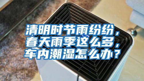 清明時節雨紛紛，春天雨季這么多，車內潮濕怎么辦？