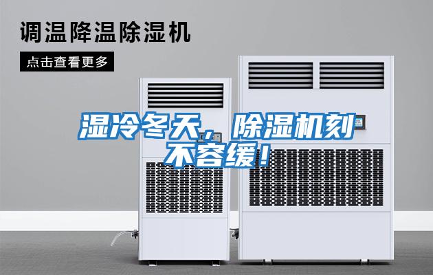 濕冷冬天,除濕機刻不容緩!