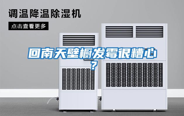 回南天壁櫥發霉很糟心？