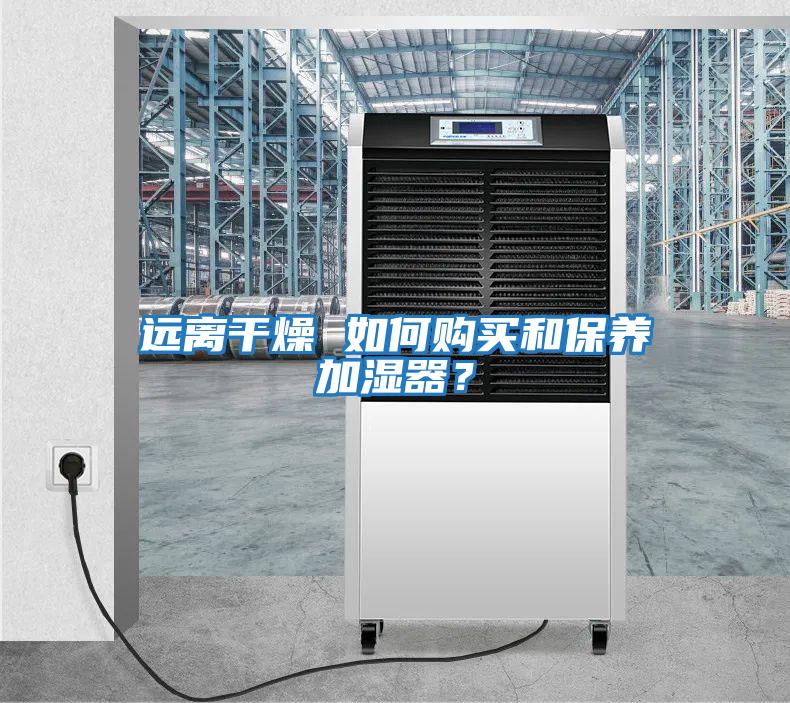 遠離干燥 如何購買和保養加濕器？