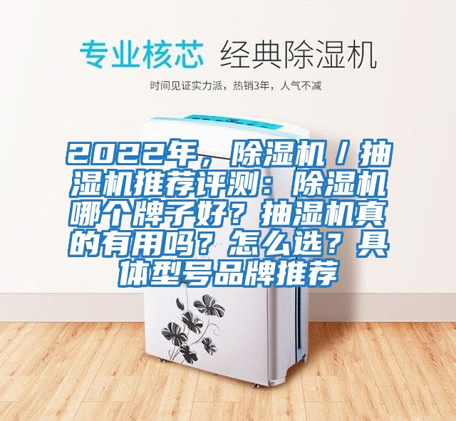 2022年，除濕機(jī)／抽濕機(jī)推薦評(píng)測(cè)：除濕機(jī)哪個(gè)牌子好？抽濕機(jī)真的有用嗎？怎么選？具體型號(hào)品牌推薦