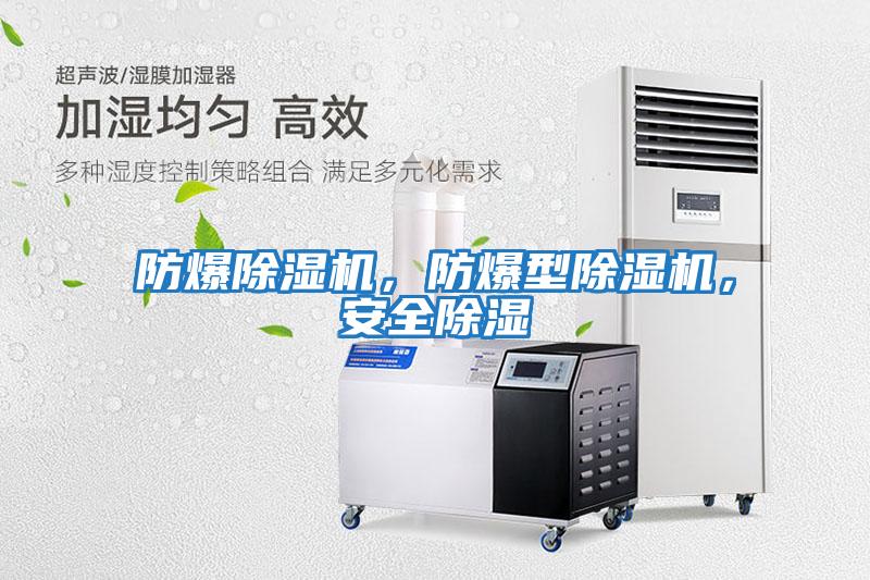 防爆除濕機，防爆型除濕機，安全除濕