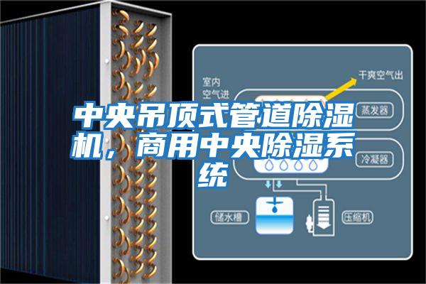 中央吊頂式管道除濕機(jī)，商用中央除濕系統(tǒng)
