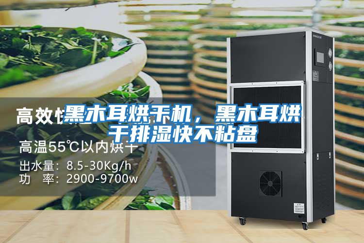 黑木耳烘干機(jī)，黑木耳烘干排濕快不粘盤(pán)