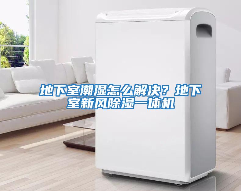 地下室潮濕怎么解決？地下室新風(fēng)除濕一體機