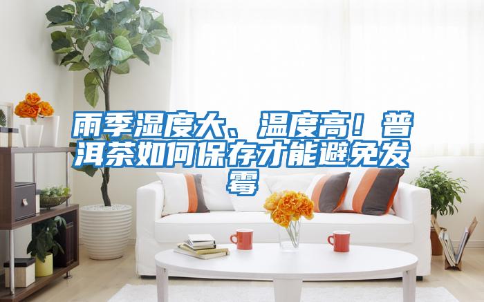 雨季濕度大、溫度高！普洱茶如何保存才能避免發霉