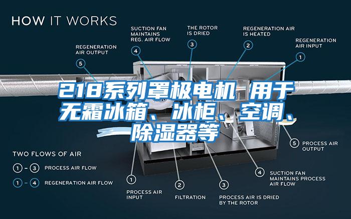 218系列罩極電機 用于無霜冰箱、冰柜、空調、除濕器等