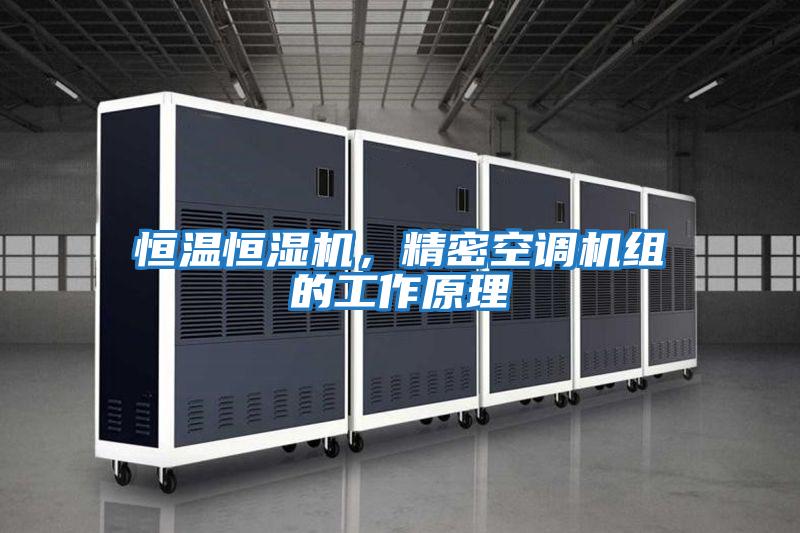 恒溫恒濕機，精密空調機組的工作原理