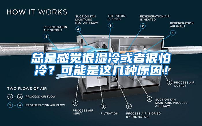 總是感覺很濕冷或者很怕冷？可能是這幾種原因！