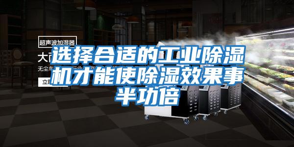 選擇合適的工業除濕機才能使除濕效果事半功倍
