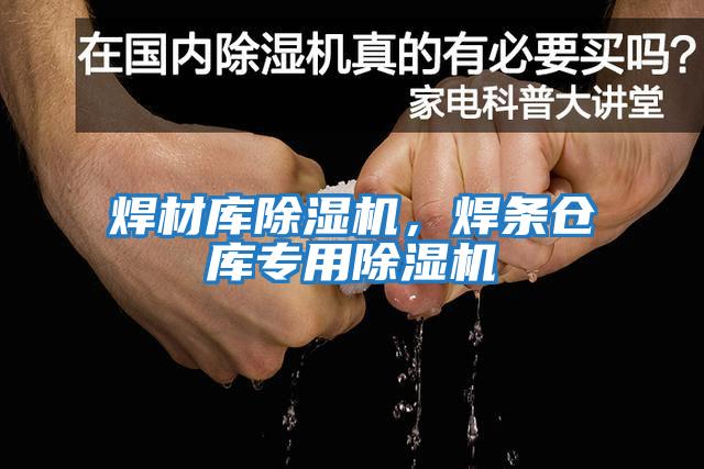 焊材庫除濕機，焊條倉庫專用除濕機