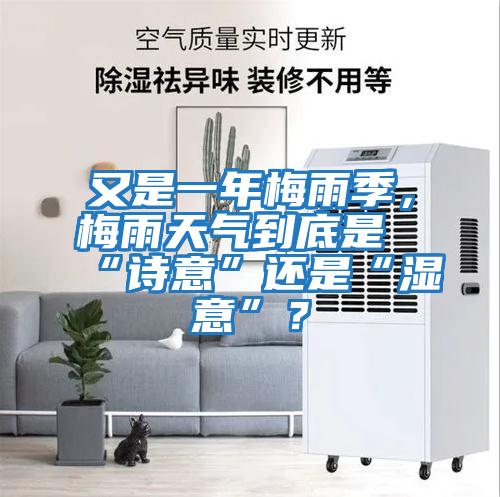 又是一年梅雨季，梅雨天氣到底是“詩(shī)意”還是“濕意”？