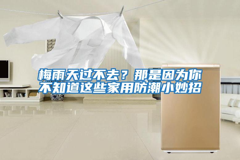 梅雨天過不去？那是因?yàn)槟悴恢肋@些家用防潮小妙招