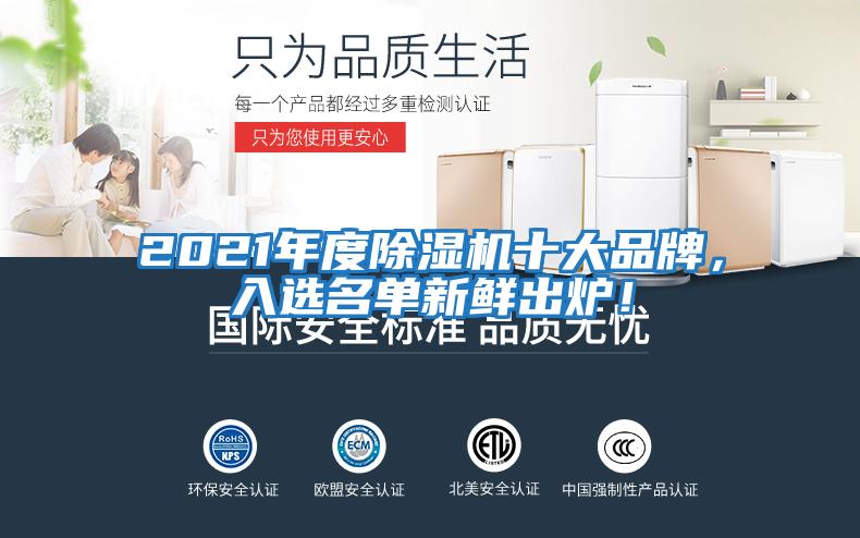 2021年度除濕機十大品牌，入選名單新鮮出爐！